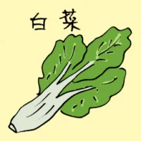 Chinese Cabbage (3600) illustration