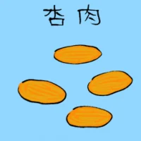 Preserved Apricot (3641) illustration