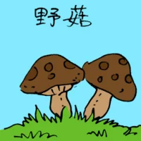 Wild Mushroom (3653) illustration