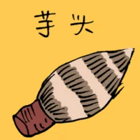 Yam (3657) illustration