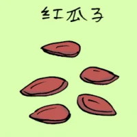 Red Melon Seeds (3670) illustration