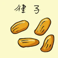 Chestnut (3681) illustration