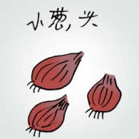 Small Onions (3682) illustration