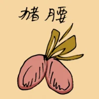 猪腰 (3683) illustration
