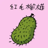 Soursop (3684) illustration