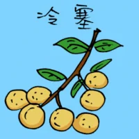 冷塞 (3685) illustration