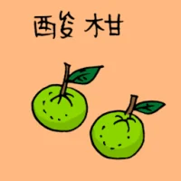 Lime (3687) illustration