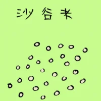 Sago (3703) illustration