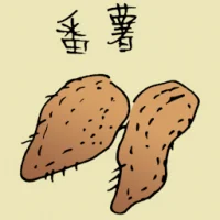 Sweet Potato (3704) illustration
