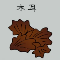 Fungus (3707) illustration