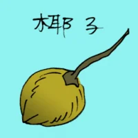 Green Coconut (3710) illustration