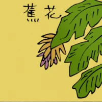 Banana Flower (3711) illustration