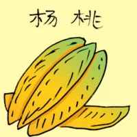 Star Fruit (3713) illustration
