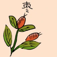 Dates (3717) illustration