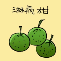 Chinese Lime (3718) illustration