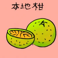 Local Lime (3719) illustration