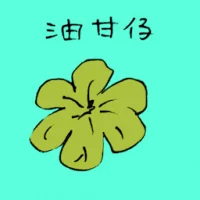 Indian Gooseberry (3724) illustration