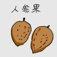 Chiku Fruit (3727) illustration