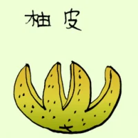 Pomelo Peel (3728) illustration