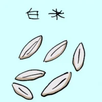 White Rice (3729) illustration
