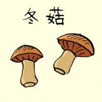 Dried Mushroom (3730) illustration