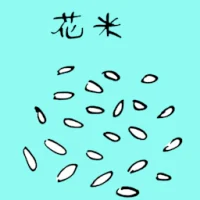 Flower Seeds (3736) illustration