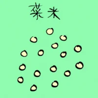 Vegetable Seeds (3737) illustration