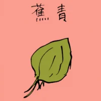 芜菁 (3740) illustration