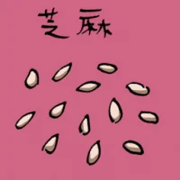 Sesame (3753) illustration