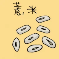 Barley (3765) illustration