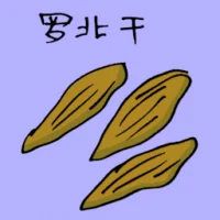 Dried Carrot (3794) illustration