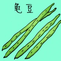 Long Beans (3803) illustration