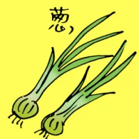 Green Onion (3809) illustration