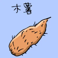 Cassava (3812) illustration