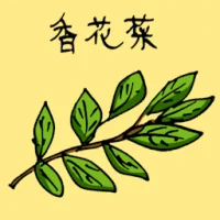 香花菜 (3813) illustration