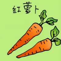 Carrot (3815) illustration