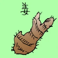 Ginger (3820) illustration