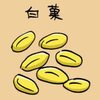 Gingko Nut (3824) illustration