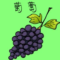 Grape (3845) illustration