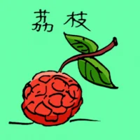 Lychee (3850) illustration