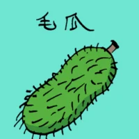 Hairy Gourd (3852) illustration