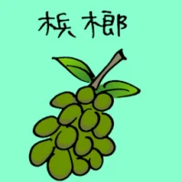 Betel Balm (3854) illustration