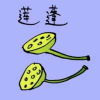 Lotus Seedpod (3855) illustration
