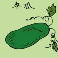 Winter Melon (3858) illustration