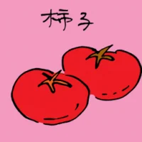 柿子 (3859) illustration