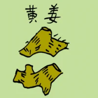 Turmeric (3863) illustration
