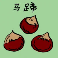 Water Chestnut (3866) illustration