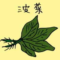 Spinach (3867) illustration