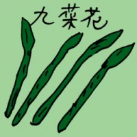 九菜花 (3870) illustration