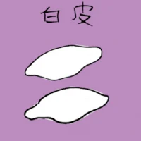 White Skin (3872) illustration